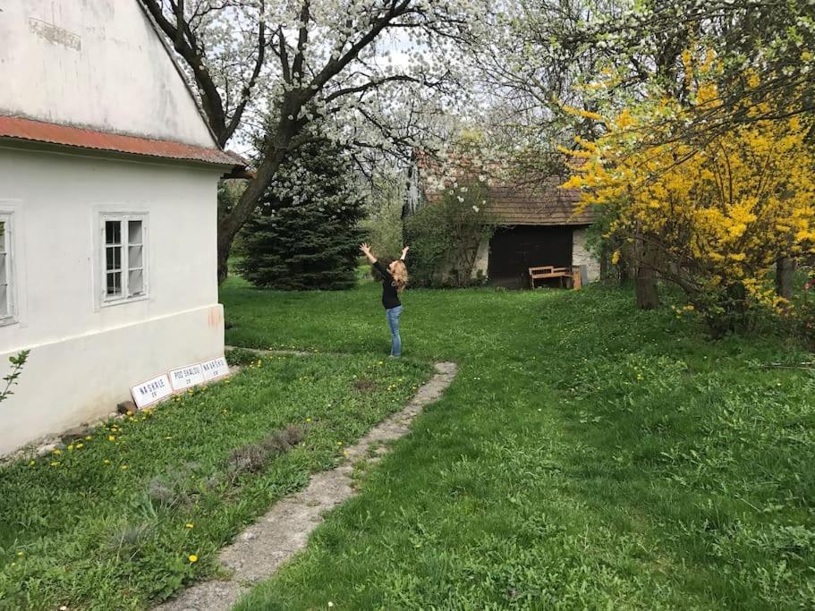 Romanticka Chalupka Na Polosamote Plavecky Peter Buitenkant foto